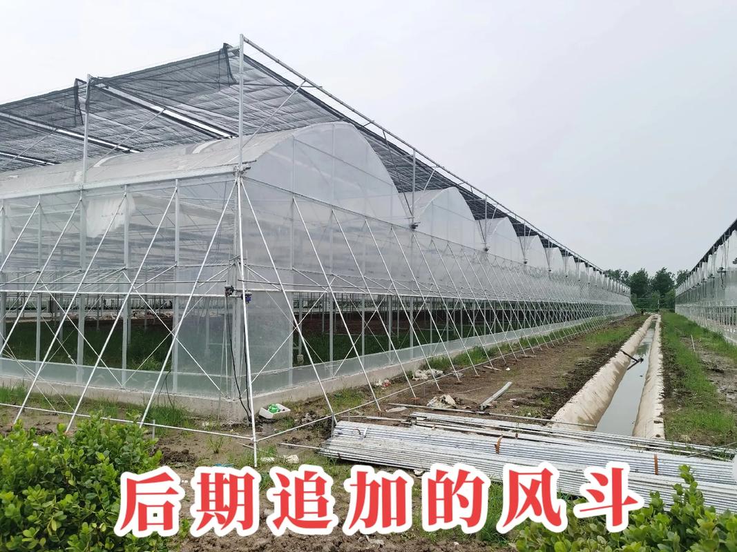 探訪京東農(nóng)業(yè)科技園 風(fēng)斗連棟薄膜大棚如何以技術(shù)創(chuàng)新賦能現(xiàn)代農(nóng)業(yè)